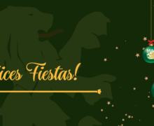 FELICES FIESTAS